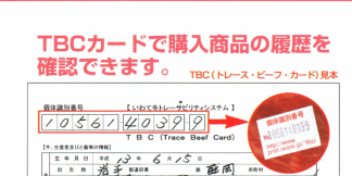 チラシ２