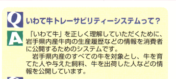 チラシ５