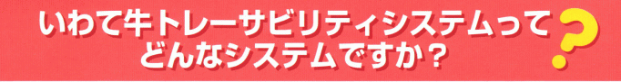 チラシ１