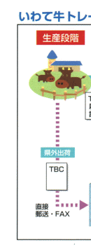 チラシ１